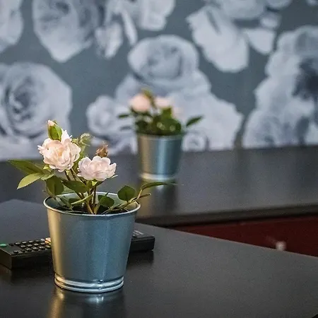 Apartmán Foter Sarvaš